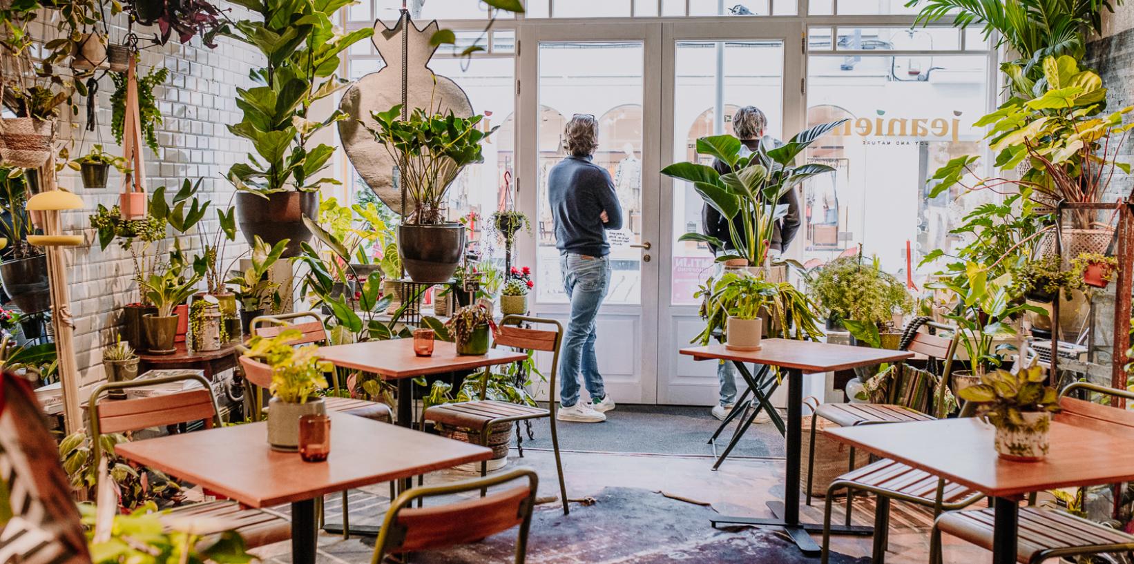 Gezellige winkel met planten, decoratie en accessoires waar je kan drinken.